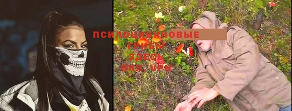 героин Богородицк