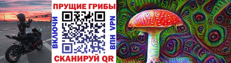 как найти наркотики  Минеральные Воды  сайты даркнета какой сайт  Галлюциногенные грибы Psilocybine cubensis 